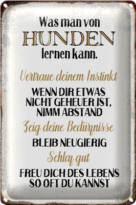 Produktbild von Blechschild Spruch 20x30cm was man von Hunden lernen kann