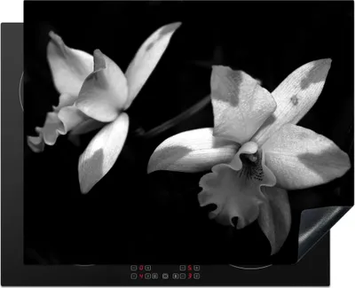 Produktbild von KitchenYeah© Herdabdeckplatte Zwei Orchideenblüten - schwarz und weiß , 65x52cm, Küche Deko, Glaskeramikkochfeld Herdabdeckung, Abdeckplatte fùr Kochfeld