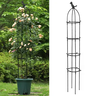 Productafbeelding van Klimrek en plantensteun voor het vormen van groene planten, pioenrozen en hortensia's, ideaal voor de tuin
