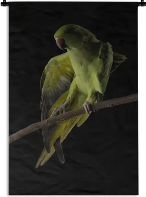 Produktbild von MuchoWow® Wandteppich Wandbehang Papagei - Vogel - Zweig 90x135 cm Tapisserie Dekoration Wandtuch - Baumwolle - Wandskulptur