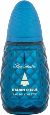 Produktbild von Italian Citrus Pino Silvestre 125ml
