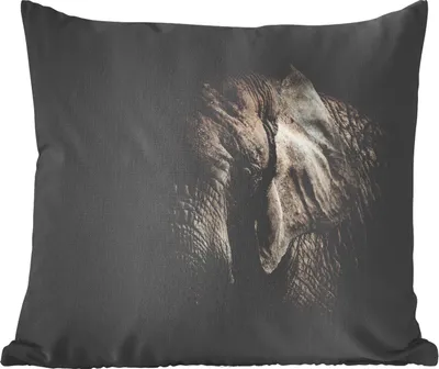 Produktbild von MuchoWow® Zierkissen Sofakissen Wohnzimmer Dekokissen 50x50 cm Elefant - Porträt - Tiere - Schwarz - Komfort - Sofakissen