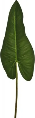 Produktbild von Kunstblume Blatt Philodedron grün 65 cm