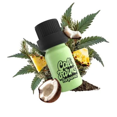 Obrázek produktu pro Konopné terpeny Botanicals | TERPENOVÝ PROFIL - Pineapple express | 5 ml