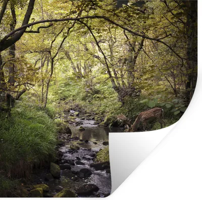 Produktbild von MuchoWow® Wandtattoo Wandsticker Wandaufkleber Hirsch - Baum - Wald 30x30 cm Selbstklebend und Repositionierbar - Repositionierbar - Wasser abweisend
