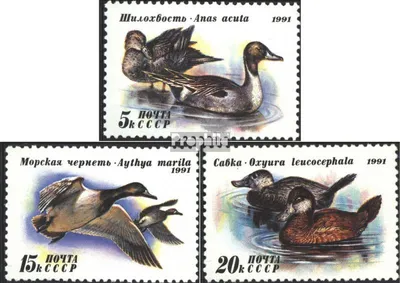 Produktbild von Briefmarken Sowjetunion 1991 Mi 6210-6212 (kompl.Ausg.) postfrisch Enten