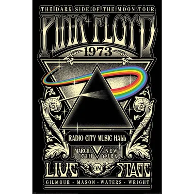 Produktbild von Pink Floyd - Poster "Dark Side Of The Moon" TA9389 (Einheitsgröße) (Schwarz/Silber)