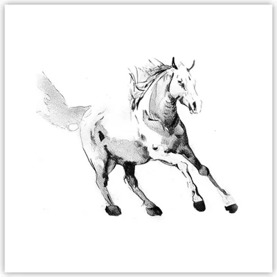 Produktbild von Poster - Poster ohne Rahmen - Pferd Galopp Tier - 30x30 cm - Wand Bild - Wanddeko - Wandbilder - Kunstposter - Wandposter - Bilder - Kunstdruck - Wanddekoration - Wandbild - P2XAC30x30-5117