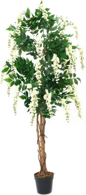Produktbild von artplants.de Künstlicher Goldregenbaum, 1370 Blätter, Echtstamm, 820 Blüten, weiß, 180cm - Künstliche Pflanze - Deko Blumen