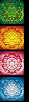 Zdjęcie produktu dla Mandalas Art Print Obraz - Kwiat Życia, Cztery Żywioły (91 x 30 cm)