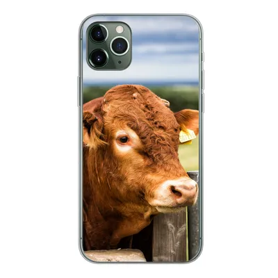 Produktbild von MuchoWow® Handyhülle Schutzhülle Hülle für iPhone 11 Pro Max Schottischer Highlander - Berg - Zaun Silikon Softcase Handy Hülle - Schutz