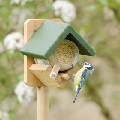 Produktbild von CJ Wildlife Erdnussbutterhaus - Vogelfutterspender mit Pfahl - Holz ( 100%) grün/braun - für Gartenvögel - Glas mit Holzschieber