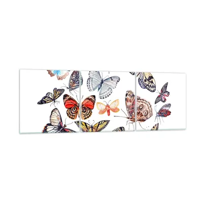 Produktbild von Bilder auf glas - Schmetterlinge Illustration Bunt Flügel - 120x40cm - Glasbilder - Wandbilder - Kunstdruck - Wanddekoration aus Glas - Glas Bilder - Wandbild auf Glas - GCA120x40-2916