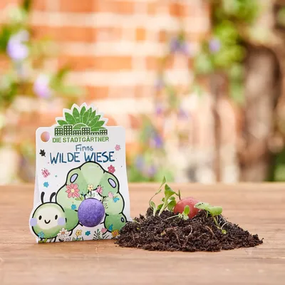 Produktbild von Blumenmurmel Finns Wilde Wiese - große bunte Samenbombe mit Wildblumen-Saatgut