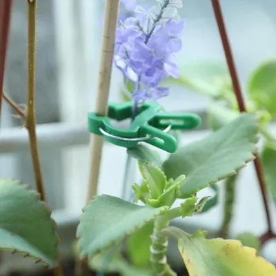 Produktbild von Grüne Rankenstützen, 60 Stück Pflanzgefäße, Kletterhilfen für Kletterranken, Zimmerpflanzen, grüne Rankenbeschützer für den Garten, Blumen, Rankenstützen, Kletteranker (30 große + 30 kleine)