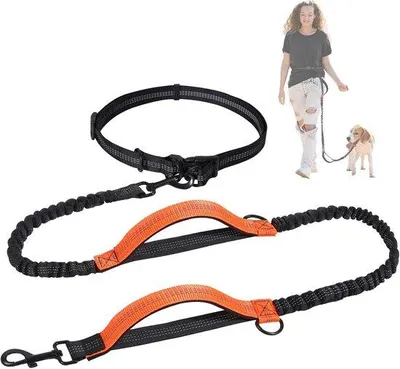 Image de Laisse de jogging élastique et réfléchissante pour chiens de moyenne et grande taille - laisse rétractable avec double poignée - ceinture laisse pour chien