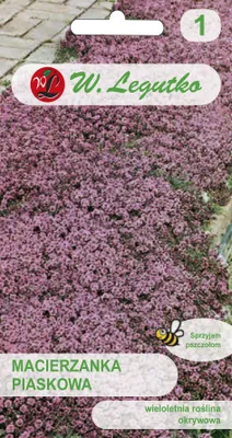 Obrázek produktu pro Semena řebříčku pískového 'Lilac' 0,10 g – W. Legutko