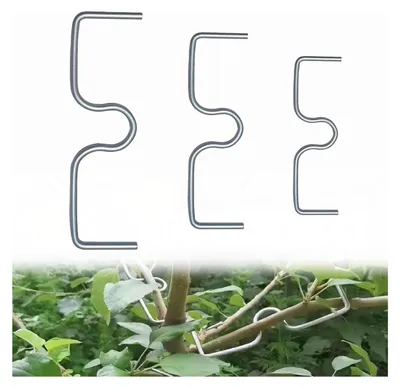 Image de 30 supports de formation réutilisables pour arbres fruitiers