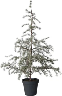 Produktbild von Lene Bjerre Zeder CEDILLE LED mit Beleuchtung grün | 60x60x120cm