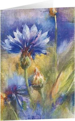 Produktbild von Kunstkarten "Kornblumen" 6 Stk.