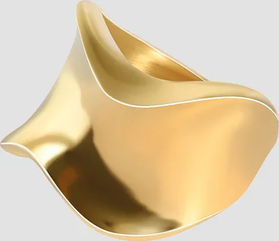Produktbild von Akzent Edelstahlring für Damen, goldfarben, ionenplattiert