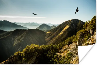 Produktbild von MuchoWow® Poster Alpen - Vögel - Wald 120x80 cm - Bilder