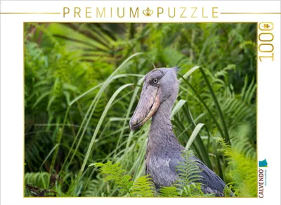 Produktbild von CALVENDO Puzzle Schuhschnabelvogel | 1000 Teile Lege-Größe 64x48cm Foto-Puzzle für glückliche Stunden