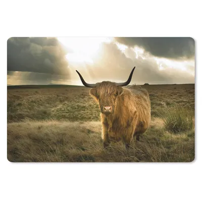 Produktbild von MuchoWow® Schreibtischunterlage Schottischer Hochländer - Sonne - Gras 60x40 cm - XXL Mauspad - Großes Mauspad