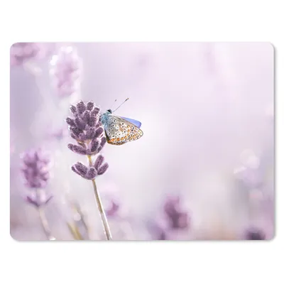 Produktbild von MuchoWow® Mauspad Mousepad Lavendel - Schmetterling - Nahaufnahme - Lila 23x19 cm - Mousepads - Maus Mat - Pad - Mausunterlage - Schreibtischunterlage - Mauspad