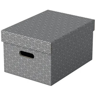 Produktbild von Esselte Aufbewahrungsbox Home M 3er Set grau