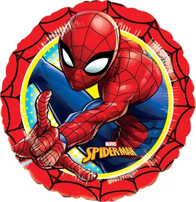 Image de Amscan Spider Man Action 0 0 STK