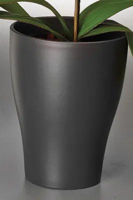Produktbild von Scheurich Orchid Pot 608, Topfpflanzer, Freistehend, Keramik, Anthrazit, Rund, Drinnen