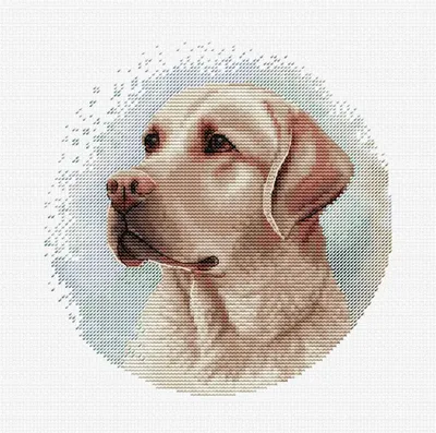 Produktbild von Luca-S Kreuzstich Stickpackung mit Stickrahmen "Der Labrador", Zählmuster, 16x16cm