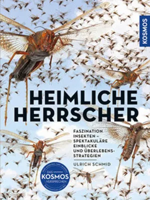 Produktbild von Insekten - Heimliche Herrscher