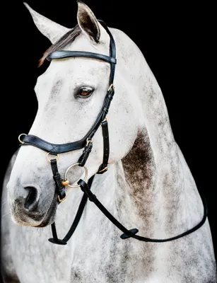 Produktbild von Horseware Ireland Trense Micklem 2 Multi Bridle Micklemtrense Black Large Cob