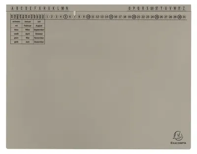 Immagine prodotto di Exacompta 371110B 25x cartelle sospese Exaflex cartone grigio