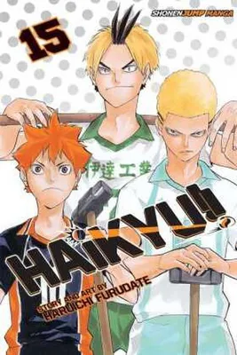 Obrázek produktu pro Haikyu!!, Vol. 15