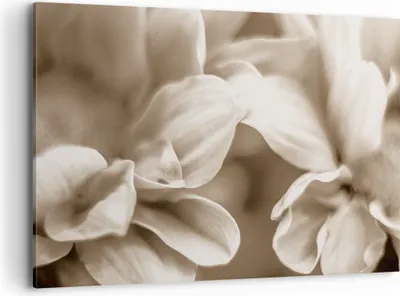 Produktbild von Bild auf Leinwand - Leinwandbild - Einteilig - Blumen Boho ohne - 100x70cm - Wand Bild - Wanddeko - Wandbilder - Leinwanddruck - Bilder - Wanddekoration - Leinwand bilder - Wandbild - AA100x70-4767