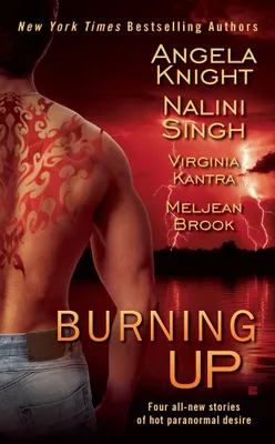 Produktbild von Burning Up