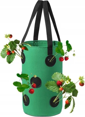 Image de HANGES Pot Sac Tomates cerises TRUSKAVES OBSCURES 35