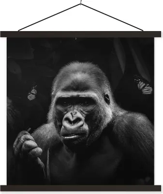 Produktbild von MuchoWow® Textilposter Tiere - Schmetterling - Affe - Schwarz - Weiß 40x40 cm mit schwarzem Rahmen - Fotos