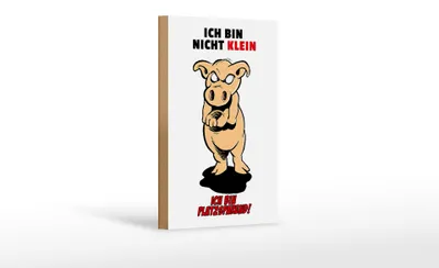 Produktbild von Holzschild Spruch 12x18cm Bin nicht klein bin platzsparend