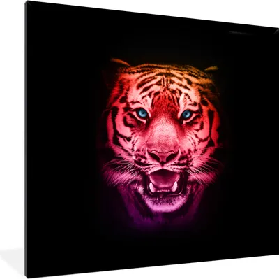 Produktbild von MuchoWow® MuchoWow® Gerahmtes Poster Tiger - Farben - Tiere 40x40 cm - Poster mit zchwarzem Bilderrahmen - Mit Rahmen - Wanddekoration Schlafzimmer
