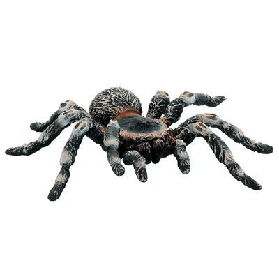 Produktbild von BULLYLAND Weißknie Vogelspinne, 3 Jahr(e), Schwarz, 1 Stück(e)