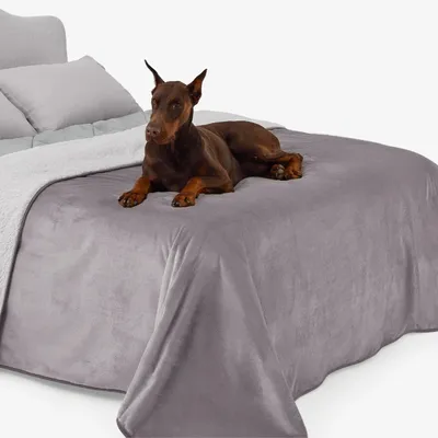 Produktbild von BESTCOVERS 100% Wasserdicht Doppelseitig Hundedecke Waschbar Hundebett Hundematte Haustier Decke Super Softe Warme und Weiche Decke für Hundedecke Katzendecke Tier Schlafdeck Überwurf für Hundebett Sofa und Couch 150X200cm GRAU