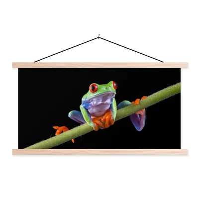 Produktbild von MuchoWow® Textilposter Frosch - Pflanze - Schwarz 60x30 cm mit holzfarbenen Rahmen - Dekoration