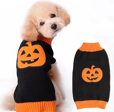 Produktbild von Hundepullover Halloween Kostüm, Kürbis Pullover für Hunde, Schwarz M