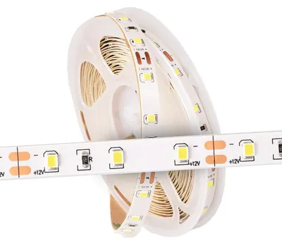 Obrázek produktu pro LED páska 2835, 24W, 5 metrů, 12V, ECOLIGHT, stupeň krytí IP20, studená bílá (6500K), 300 LED