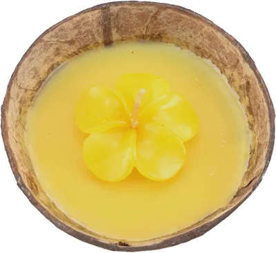 Produktbild von Exotische Duftkerze Kokosnuss 12 cm mit Blütenkerze - Lemongras Gelb, Kokosnuß, Kerzen