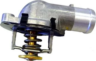 Immagine prodotto di Termostato WAHLER + guarnizione